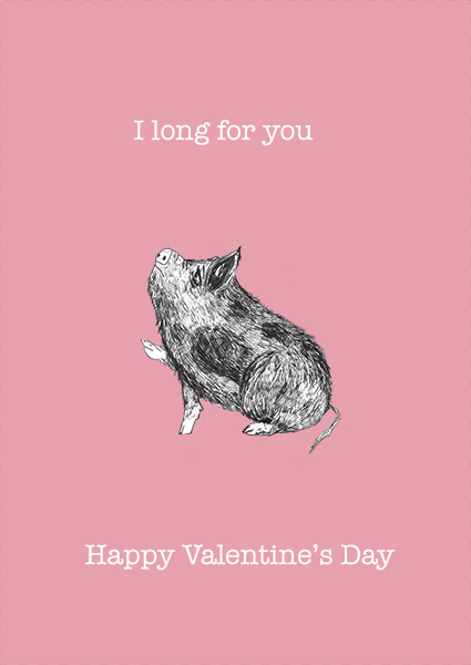 Needy pig, valentine